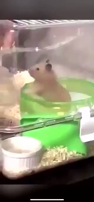 بذاكر و بخلص كل اشغالي والمشاريع بالويكند :