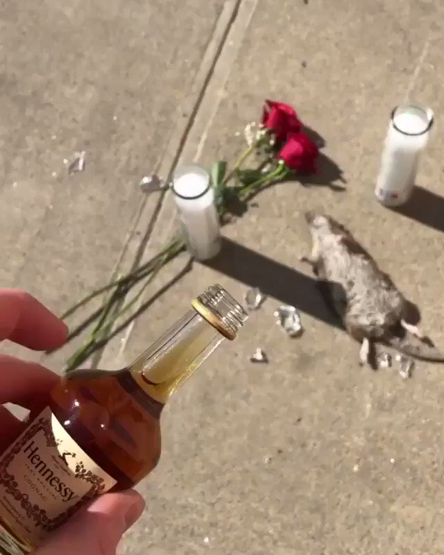 Pour one out for our fallen homie @StoolOutdoors