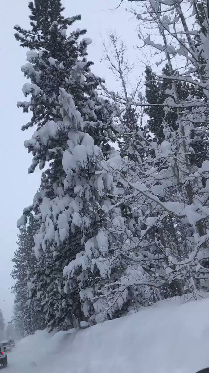 It’s a true Winter Wonderland in South Lake Tahoe this weekend ❄️ A big thank you to all who help keep the roads safe so we can enjoy this beautiful place!!