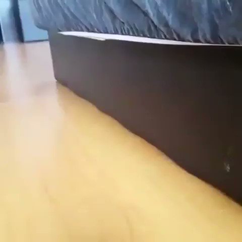 ⭐⭐お姫様