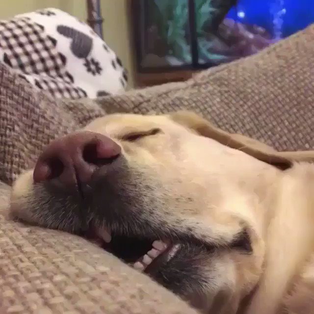 Domingo