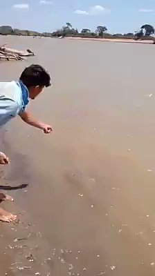 Cosplay jadi ikan