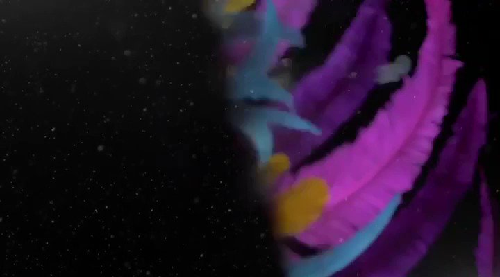 Tonight’s the night!
#𝐒𝐏𝐄𝐂𝐓𝐑𝐔𝐌
IT BEGINS WITH THE BRAND
.
.
🎥: @ClassicJamz
.
.
#barefootpromotions #barefootcarnival #fonrose #bandlaunch #launch #costumelaunch #steppingout #carnival #mas #costumes #carnivalcostumes #antiguacarnival #antiguamas #barefoot #fete