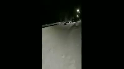 Тем временем норвежские полицейские устроили соревнования на своих щитах 🛷
В гонке приняли участия сотрудники сразу 3 полицейских отделов 😆