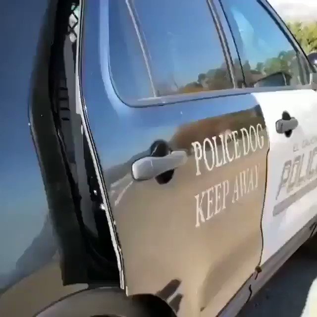 #livepd