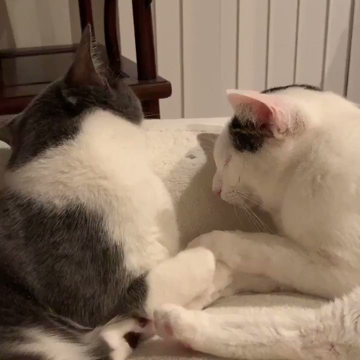 居眠り&首カックン