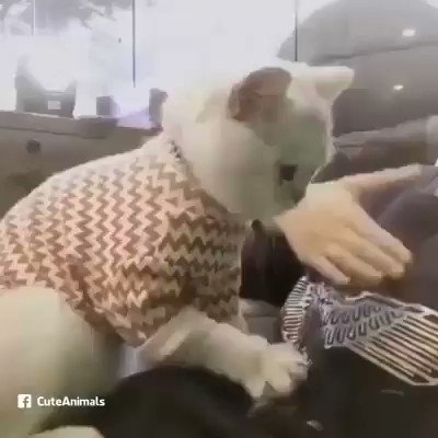 أسعد اللحظات 😻😻😻 مين بيتفق معي؟!