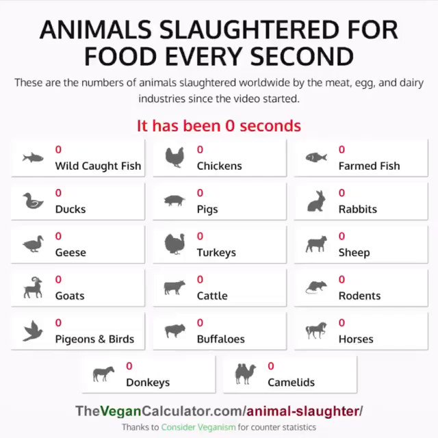 And then we wonder why the environment is crumbling under our weight.