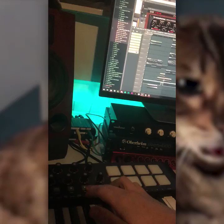 I took the liberty to produce a quick demo for your cat's next street hit