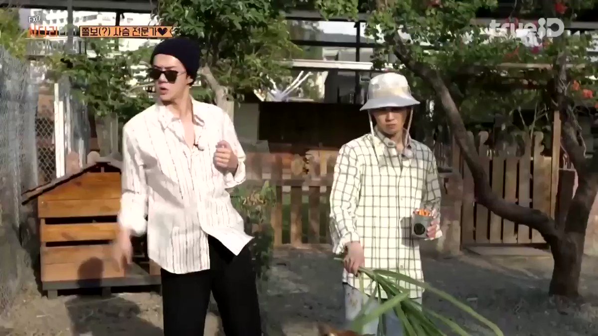 ๐ฐ: try giving some~
๐ฃ: can you give it that way, I am scared.
(Sehun before going in: weโre going to sit beside them like weโre their friends)
๐ฃ: try giving them carrot
๐ฐ: itโs more scary
๐ฃ: itโs not going to bite me right? *freaked out
heโs scared of everything ๐๐๐