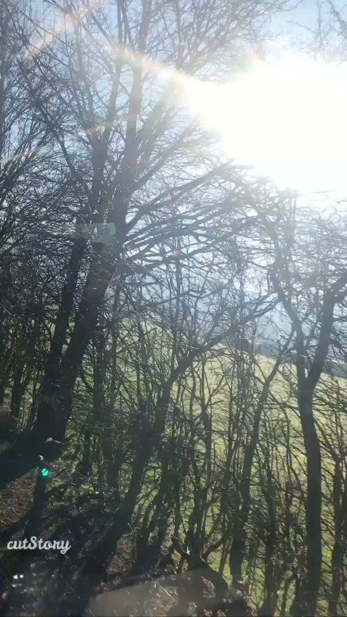 Sneak peek of our London Classic Car Show short video!🤩
Keep an eye out for the full version out soon👀
#bmwcchq