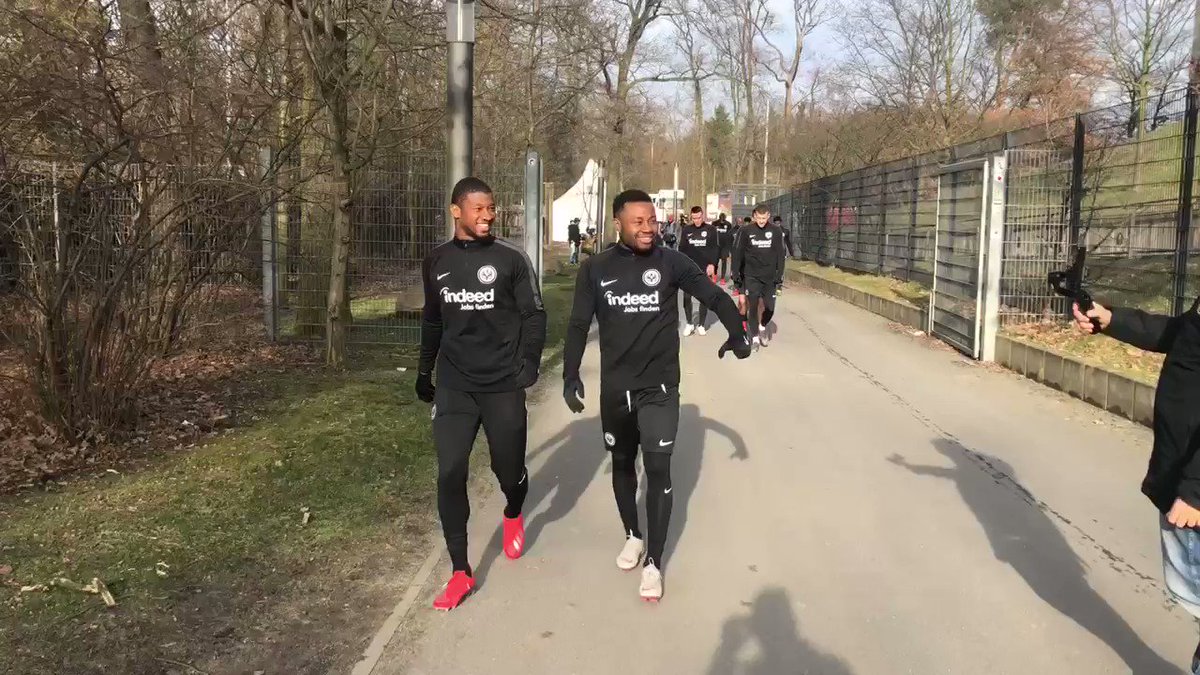 An die Arbeit, Jungs 💪⚽️
#SGEuropa #SGEShakhtar