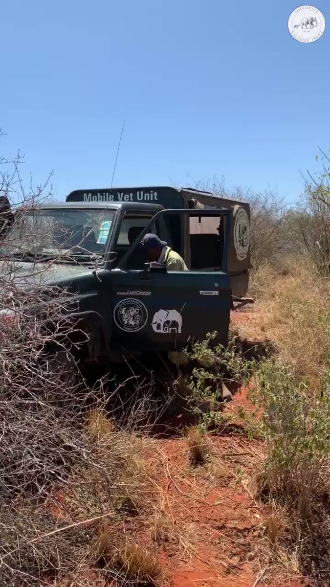 STRAIGHT FROM THE FIELD: This elephant was one of two spotted by our pilots & successfully treated by the SWT/KWS Tsavo Mobile Vet Unit yesterday. Donate to keep our propellers rotating & wheels turning so we can spot & treat injured wild animals in need: http://sheldrickwildlifetrust.org/donate