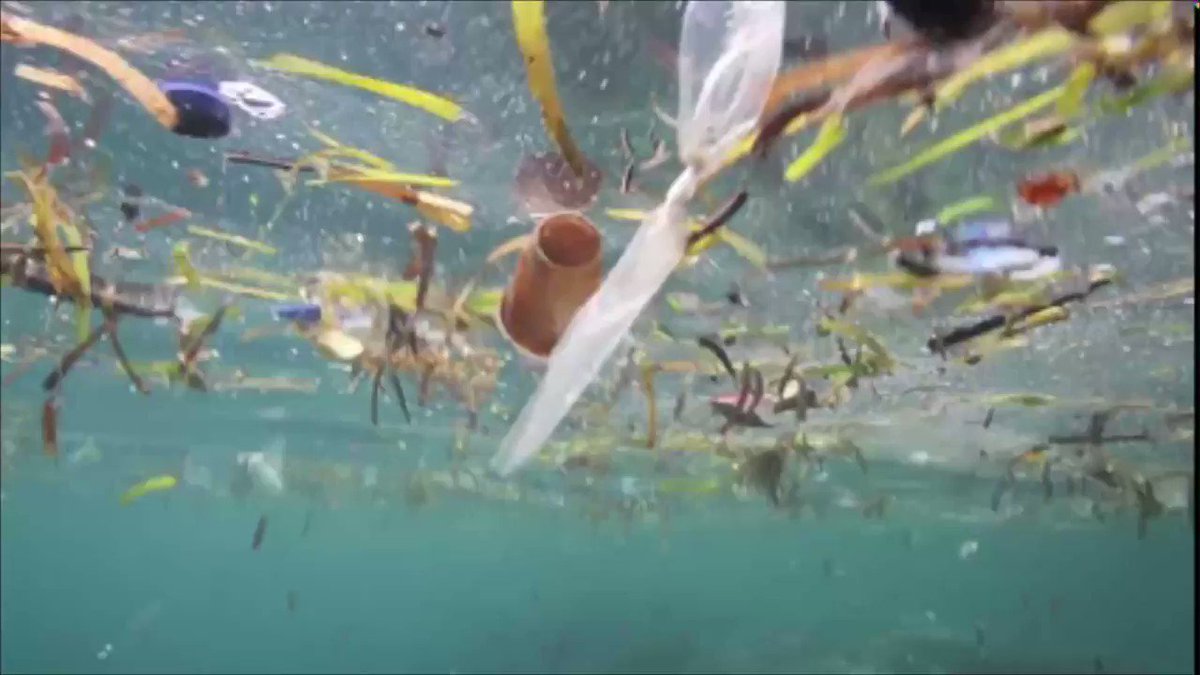 Here are 5 shocking facts about plastics in our ocean that you need to know. #BreakFreeFromPlastic