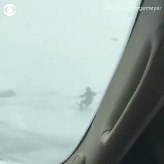 ENJOYING THE SNOW! A driver in Minnesota spotted an Amish man skiing behind his horse drawn buggy.
YOU DON'T SEE THIS EVERY DAY!