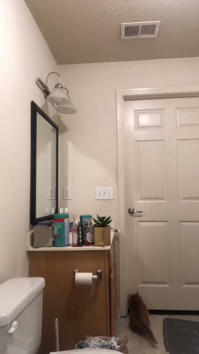 My roommate’s cat is always breaking out of her bathroom. I set up this hidden camera to find out how...and y’all....i- 😂💀