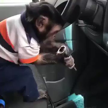 My Uber driver isn’t getting a 5 star review