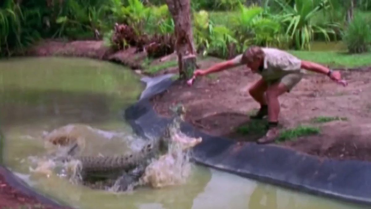 Steve Irwin's mission of conservation will always live on with his family. This Google Doodle reminds us of that. Happy birthday, Steve!
View the full Doodle and blog post: http://www.google.com/doodles/steve-irwins-57th-birthdayย โฆ
#TheIrwins #SteveIrwin @googledownunder @GoogleDoodles #GoogleDoodle