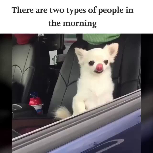 😂😂😂