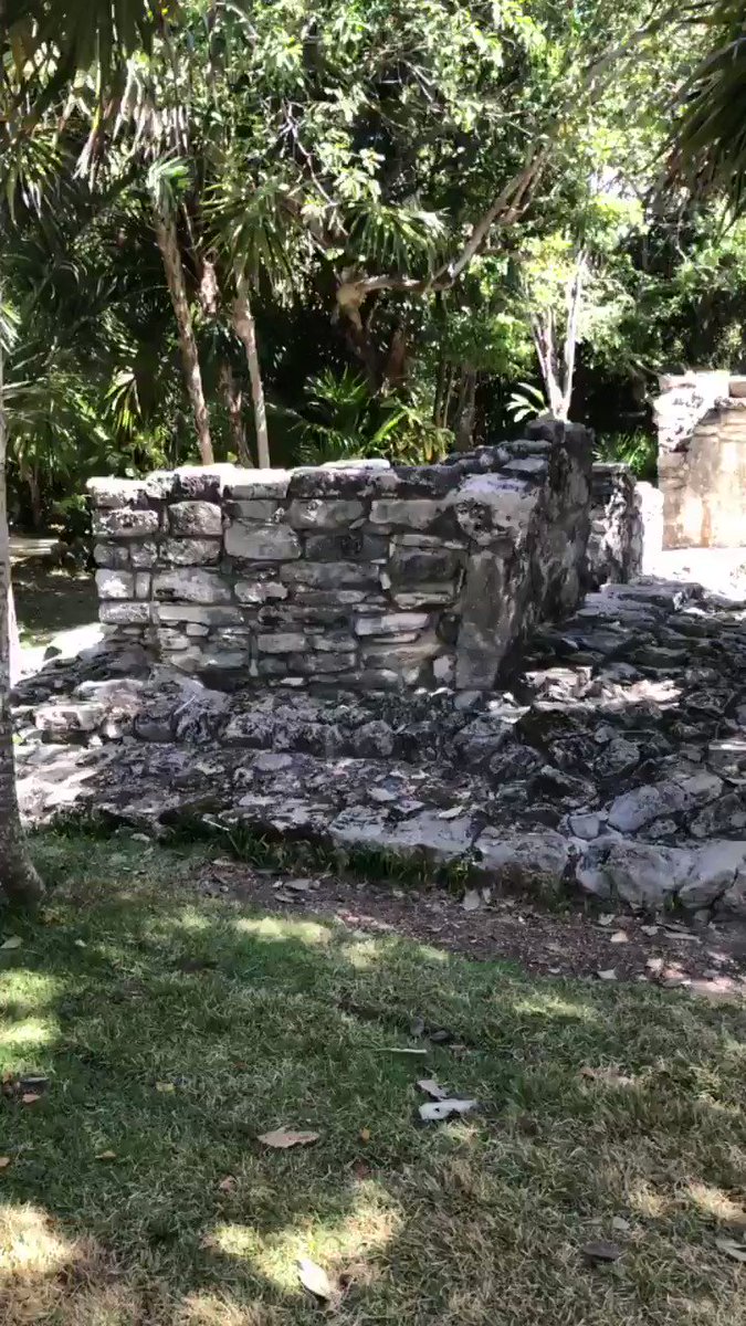 As Icarus continues its Kickstarter, I took off to Mexico and got a chance to return to the ruins of one of the most fascinating fallen civilizations ever- THE MAYANS. They inspired the Divine Jungle setting in the book and seeing their work firsthand was breathtaking as always.