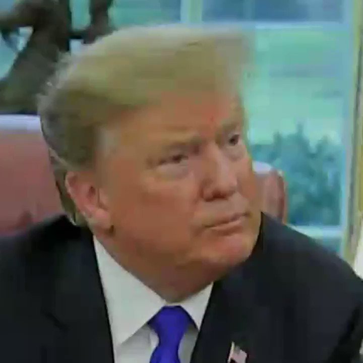 Trump denies that his incendiary rhetoric played any role in motivating the Coast Guard officer who is a fan of his and allegedly plotted to kill Trump's critics in media and politics: "I think my language is very nice."