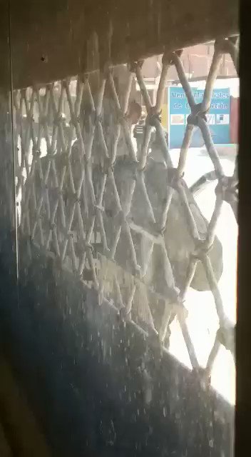 Video insertado