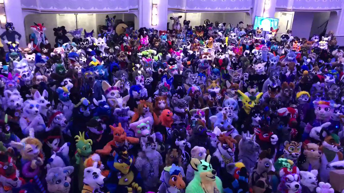 🐶🐱🦊🐻🐮🐯 #ANE2019