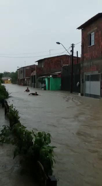 Vídeo incorporado