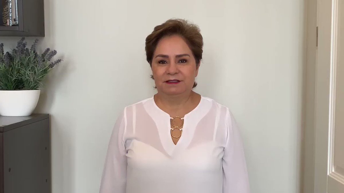 @PEspinosaC's video Tweet