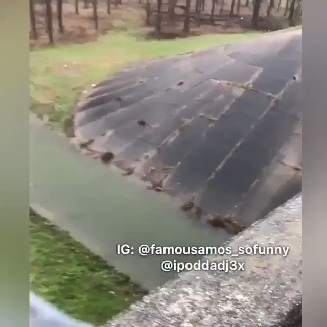 “Amos don’t do it!” 🕺😳😂 @FamousAmosFunny @IPodUncut