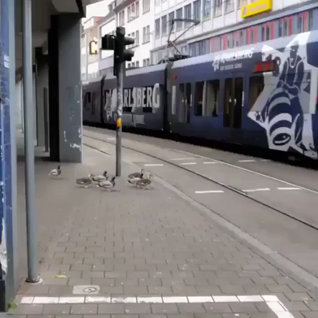 Mientras tanto en Alemania...