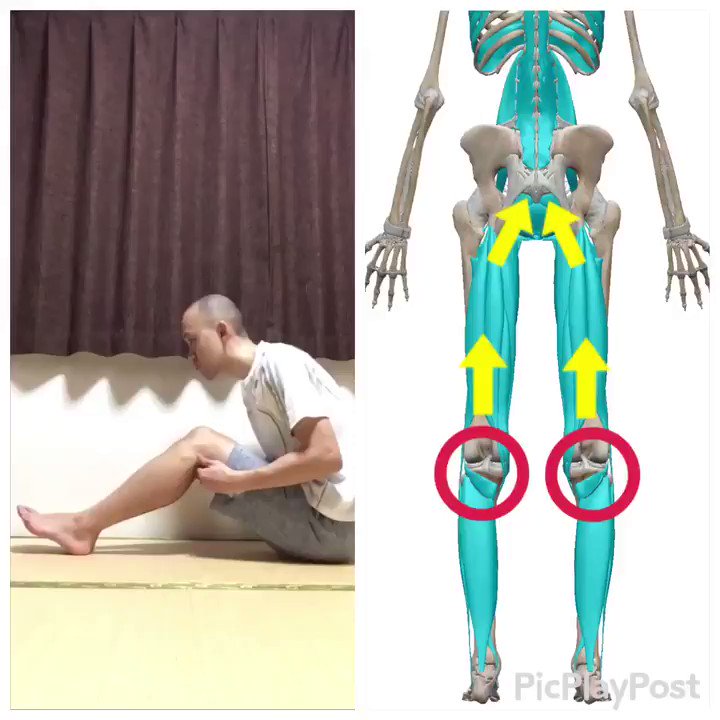 腰痛や膝痛の人必見！膝裏のセルフケア！！