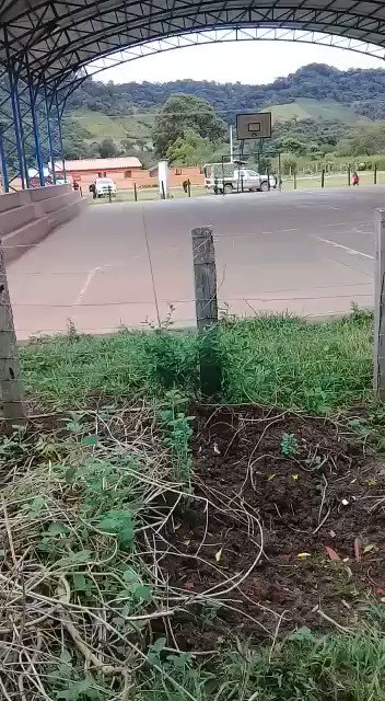 Video insertado
