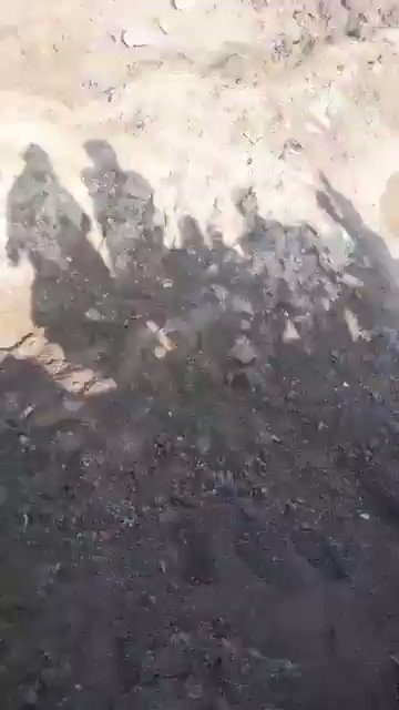 فيديو مُضمّن