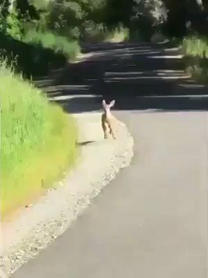 Ketika disuruh emak ke warung trus lupa mau beli apa...