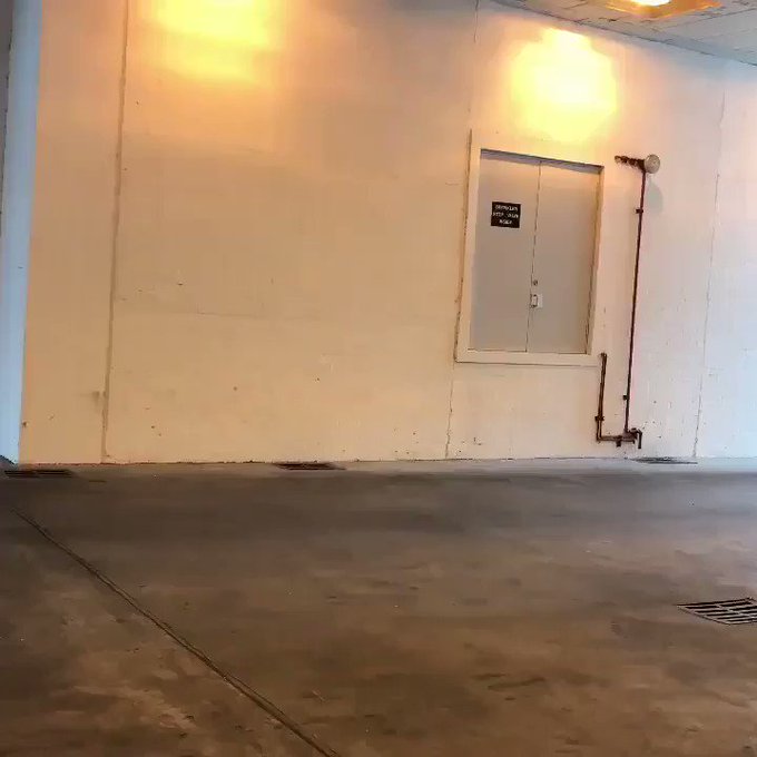 Video insertado