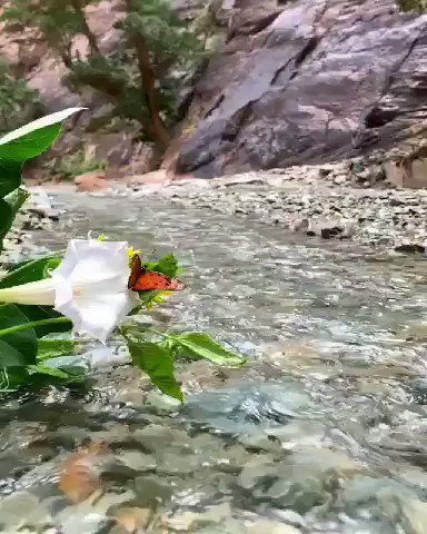 ﷽
﴿ إِنَّ اللَّهَ وَمَلائِكَتَهُ يُصَلُّونَ عَلَى النَّبِيِّ يَا أَيُّهَا الَّذِينَ آمَنُوا صَلُّوا عَلَيْهِ وَسَلِّمُوا تَسْلِيمًا ﴾