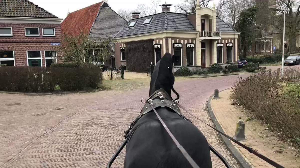 Hjoed twa jier kommissaris fan de Kening. Mei Eise fan #stalchardon troch Jorwert. Wat in kado!