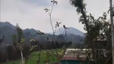 Ενσωματωμένο βίντεο