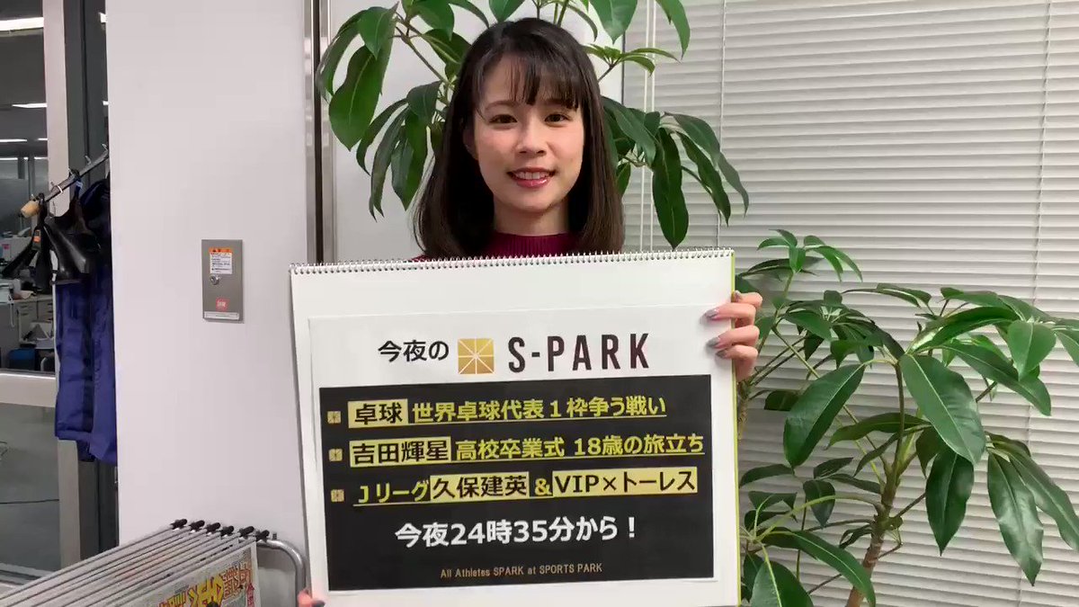 SPARK 週末土日スポーツNEWS🏟 on Twitter 