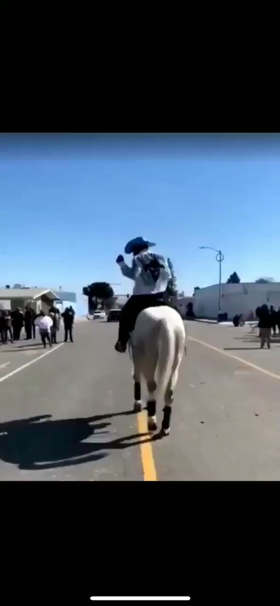 Me pulling up to see Megan Tha Stallion in concert
