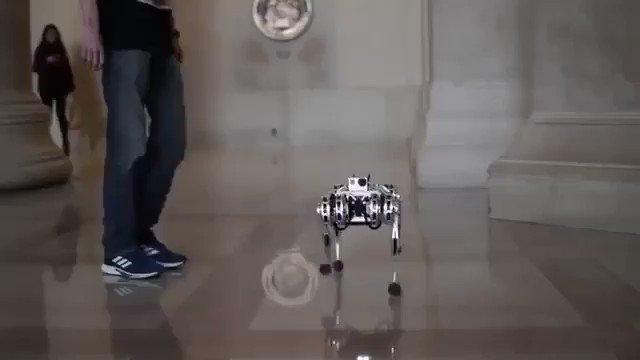 #MIT's new mini cheetah #robot is the first four-legged robot to do a backflip. At 20 pounds the limber quadruped can bend and swing its legs wide, enabling it to walk either right side up or upside down.
#robotics #Robots #engineering #electronics #science #tech #ai #ml #IoT