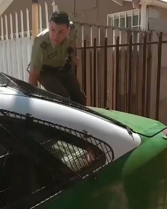 ¡Estamos donde más nos necesitan!. Carabinero de la 2a. Comisaría #SanFelipe, rescata a perrito que se enredó en una red mientras se encontraba solo en un domicilio.
#OrdenyPatria