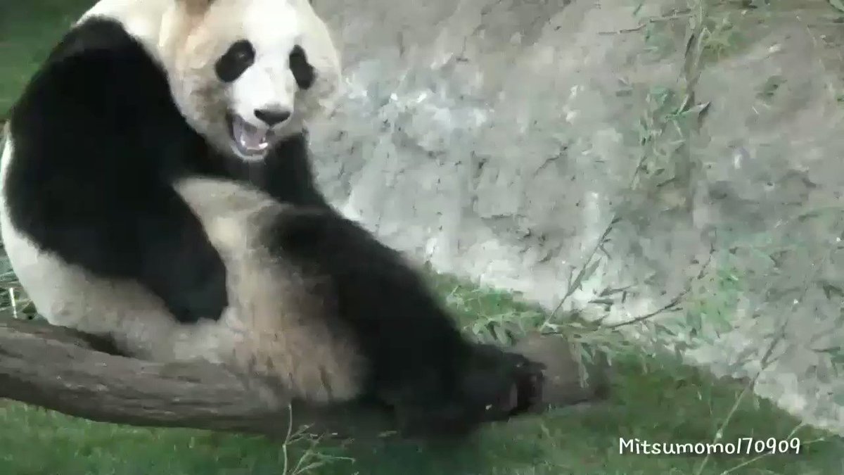 蜜桃 (@mitsumomo170909) / Posts / X