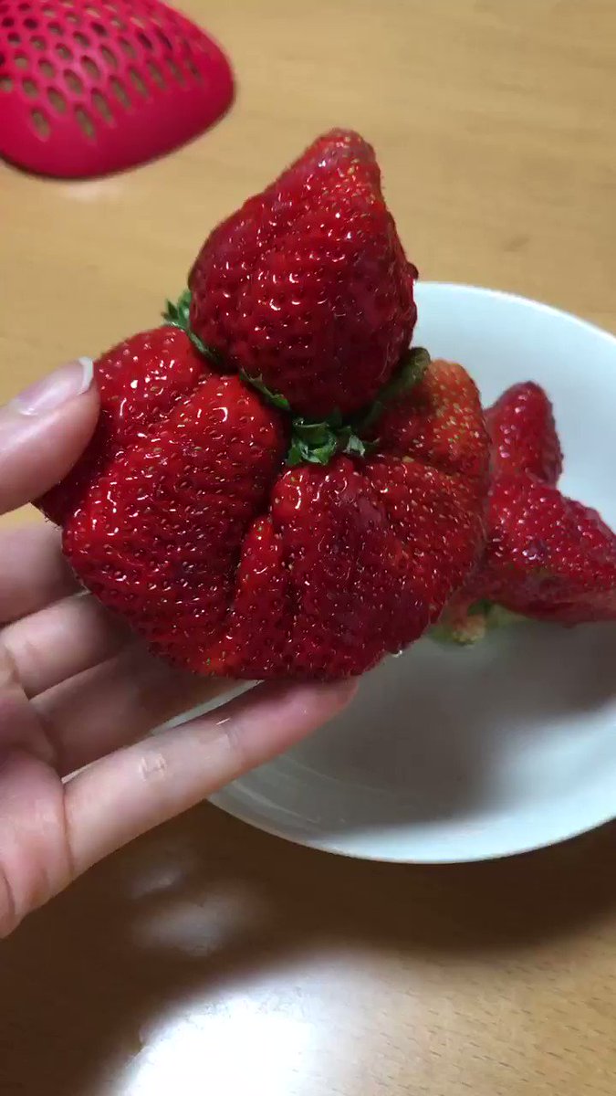 クリーチャーみたいないちご！？不恰好すぎる形に驚愕ｗｗｗ