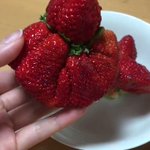 クリーチャーみたいないちご!？不恰好すぎる形に驚愕!