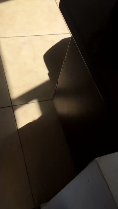 嵌入的影片
