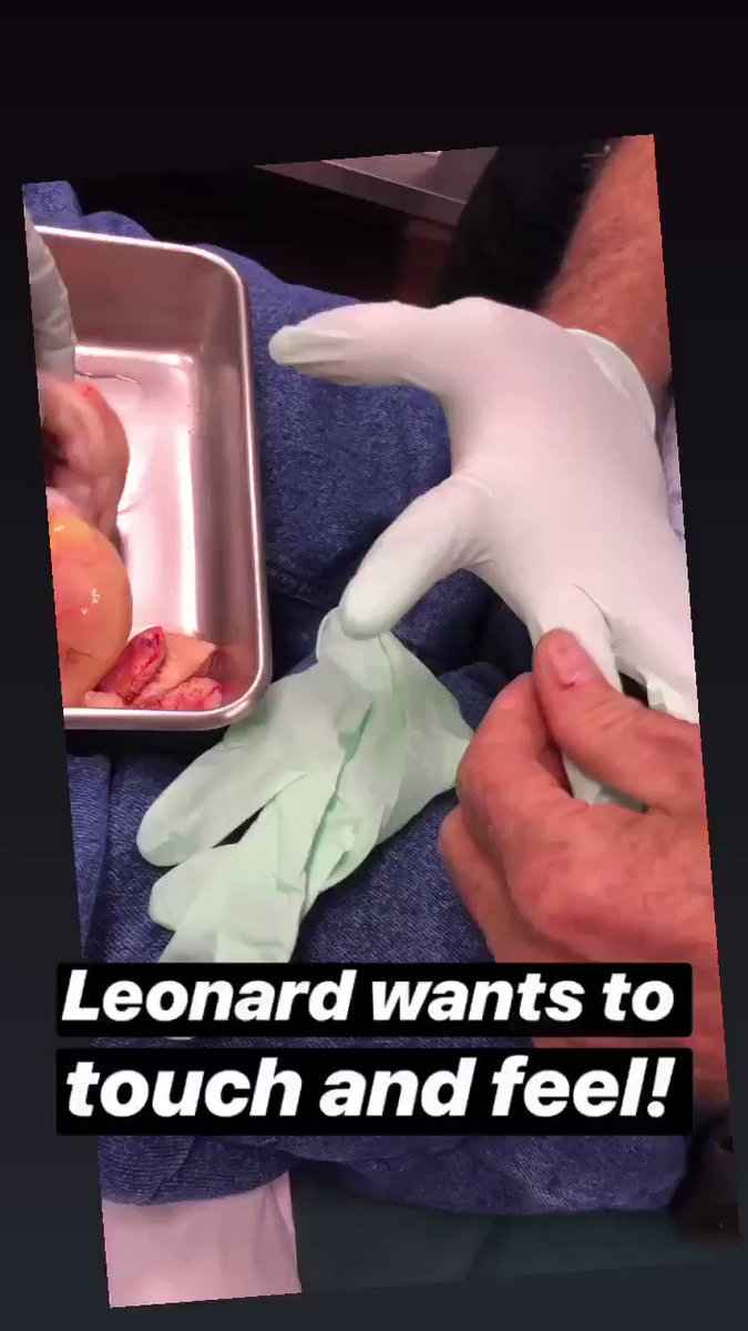 Leonard and Chip #drpimplepopper