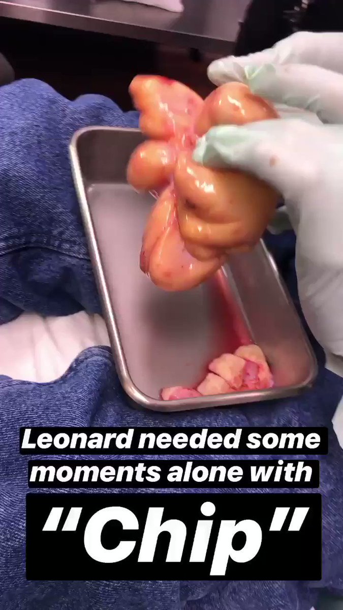 #Drpimplepopper @TLC