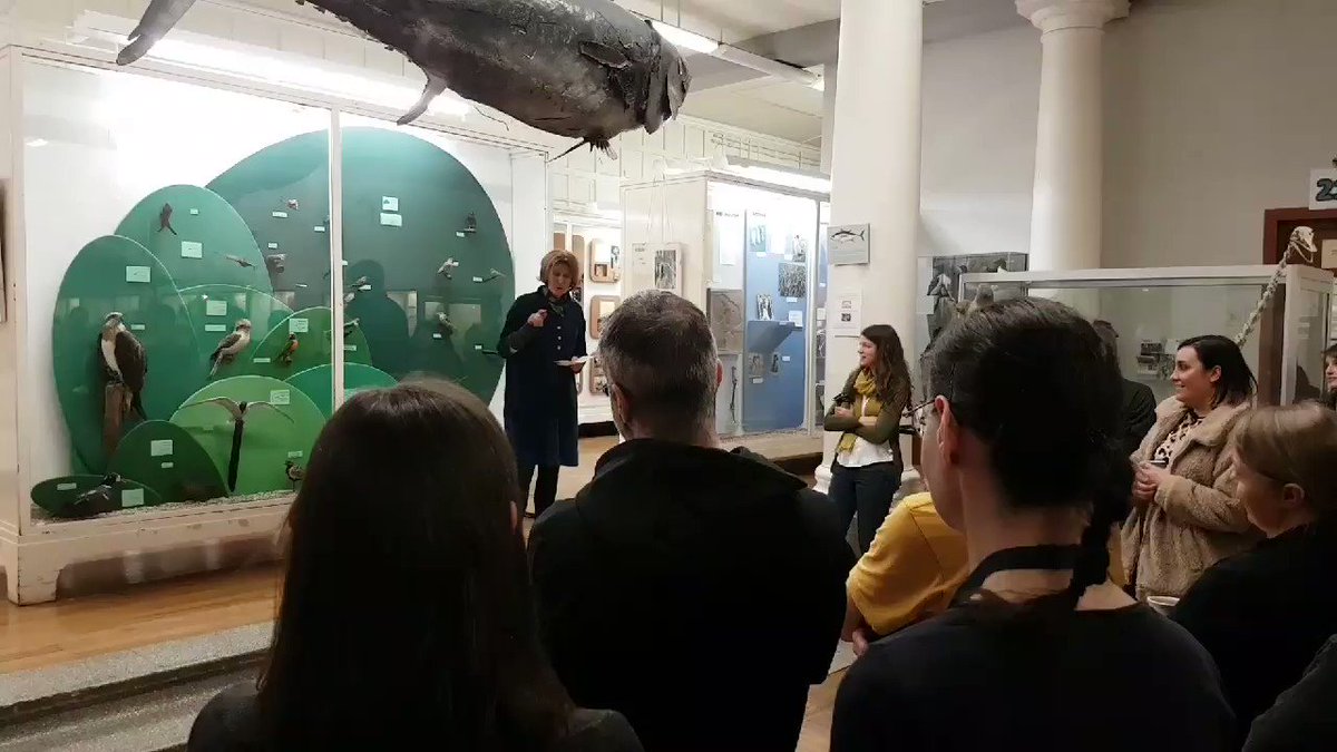 Pat Monaghan busts out her now famous rap skills to celebrate #InternationalWomensDay Yet another reason why I love our institute! @IBAHCM